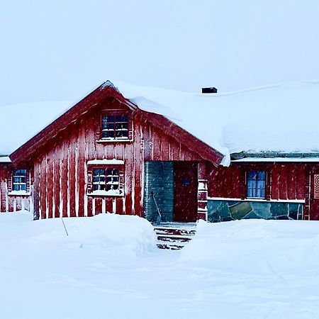 Large Cabin Sjusjoen Best View, Sauna, Ski Inout Luaran gambar