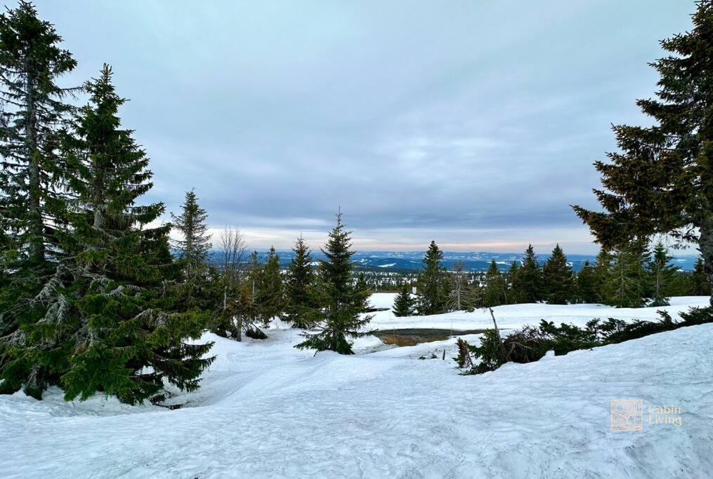 Large Cabin Sjusjoen Best View, Sauna, Ski Inout Luaran gambar